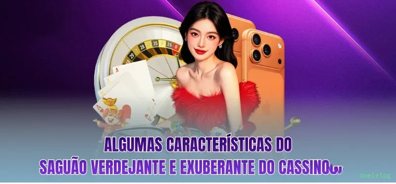 Conta oweletpg sincronizada site e app